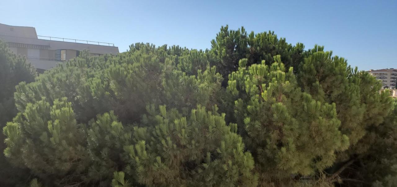 Frejus Plage La Miougrano, T2-3 49M2, 5 Personn 外观 照片
